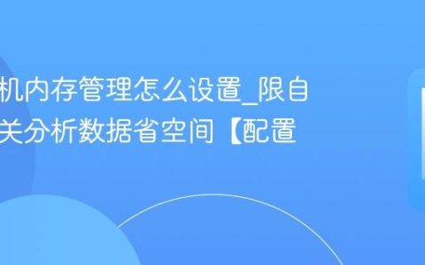 苹果手机内存管理怎么设置?限自动下载关分析数据省空间【配置】