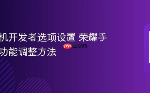 荣耀手机开发者选项设置 荣耀手机高级功能调整方法