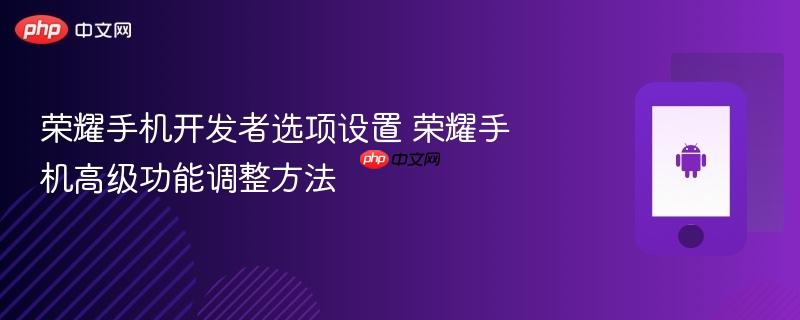 荣耀手机开发者选项设置 荣耀手机高级功能调整方法