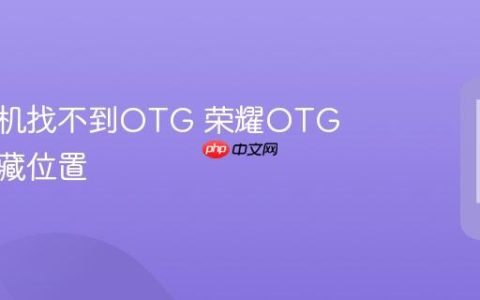 荣耀手机找不到OTG 荣耀OTG功能隐藏位置
