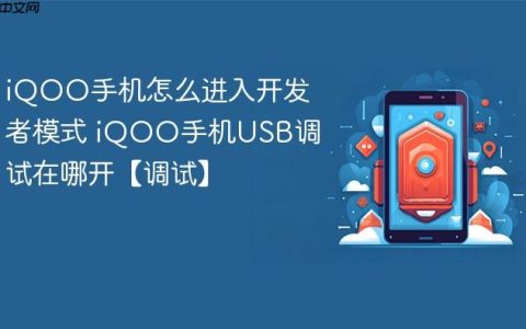 iQOO手机怎么进入开发者模式 iQOO手机USB调试在哪开【调试】