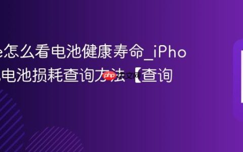 iPhone怎么看电池健康寿命?iPhone手机电池损耗查询方法【查询】