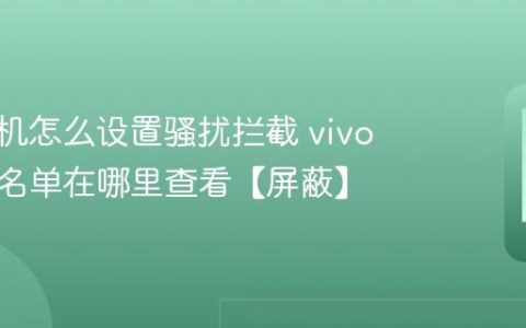 vivo手机怎么设置骚扰拦截 vivo手机黑名单在哪里查看【屏蔽】
