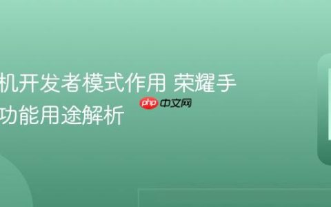 荣耀手机开发者模式作用 荣耀手机隐藏功能用途解析