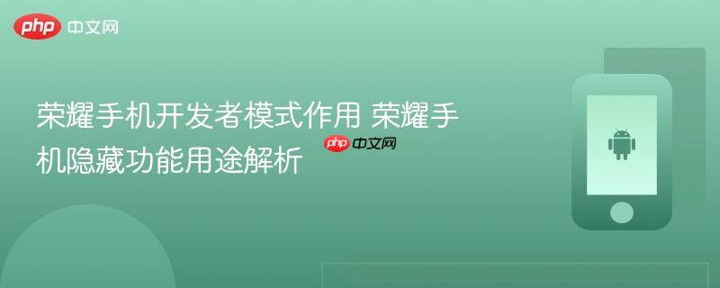 荣耀手机开发者模式作用 荣耀手机隐藏功能用途解析