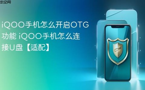 iQOO手机怎么开启OTG功能 iQOO手机怎么连接U盘【适配】