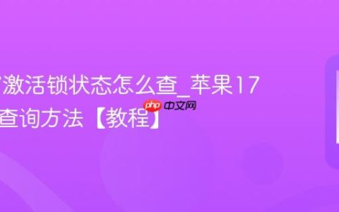 苹果17激活锁状态怎么查?苹果17激活锁查询方法【教程】