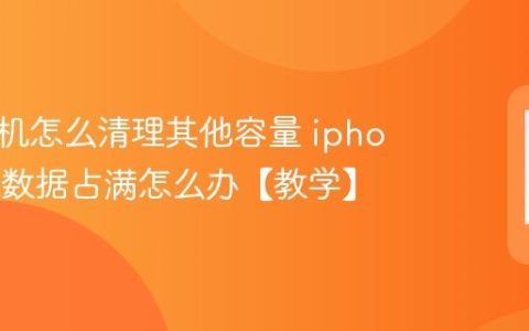 苹果手机怎么清理其他容量 iphone系统数据占满怎么办【教学】