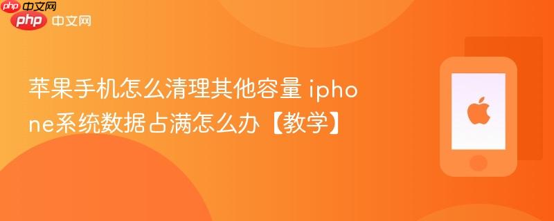 苹果手机怎么清理其他容量 iphone系统数据占满怎么办【教学】