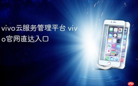 vivo云服务管理平台 vivo官网直达入口