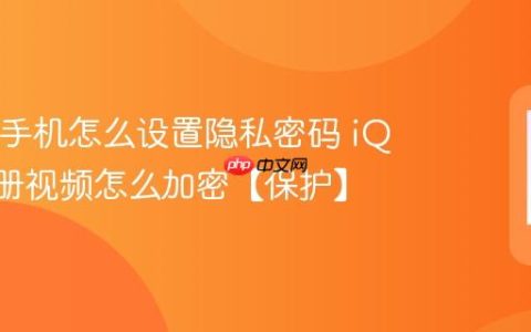 iQOO手机怎么设置隐私密码 iQOO相册视频怎么加密【保护】