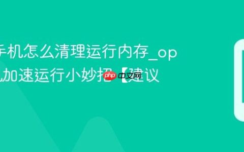 oppo手机怎么清理运行内存?oppo手机加速运行小妙招【建议】