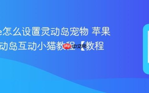 iphone怎么设置灵动岛宠物 苹果手机灵动岛互动小猫教程【教程】