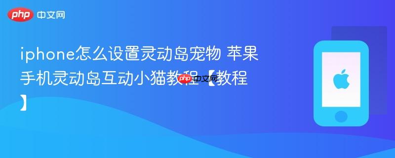 iphone怎么设置灵动岛宠物 苹果手机灵动岛互动小猫教程【教程】
