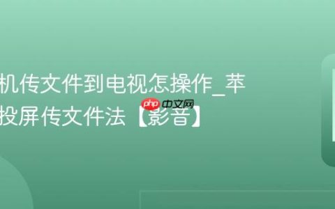苹果手机传文件到电视怎操作?苹果手机投屏传文件法【影音】