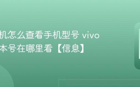 vivo手机怎么查看手机型号 vivo手机版本号在哪里看【信息】