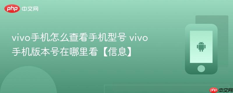 vivo手机怎么查看手机型号 vivo手机版本号在哪里看【信息】