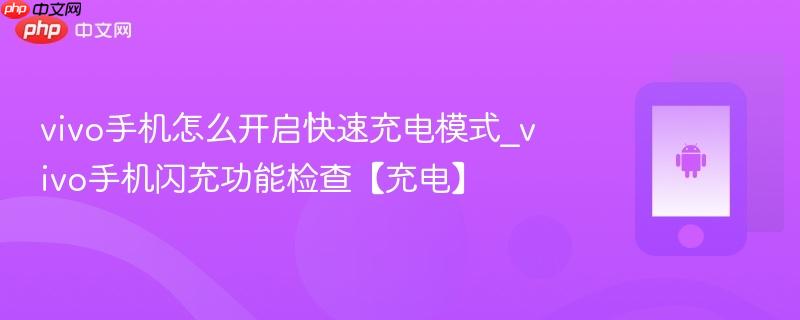 vivo手机怎么开启快速充电模式_vivo手机闪充功能检查【充电】