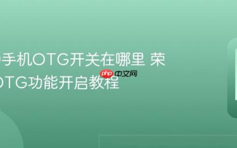 荣耀30手机OTG开关在哪里 荣耀30 OTG功能开启教程
