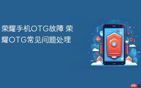 荣耀手机OTG故障 荣耀OTG常见问题处理