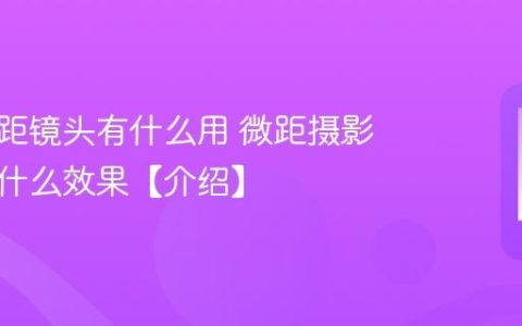 手机微距镜头有什么用 微距摄影能拍出什么效果【介绍】