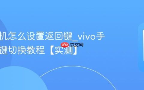 vivo手机怎么设置返回键?vivo手机导航键切换教程【实测】