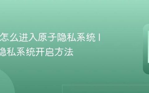 IQOO怎么进入原子隐私系统 IQOO隐私系统开启方法