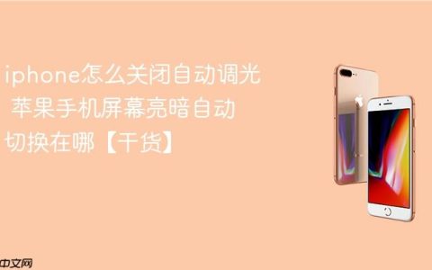 iphone怎么关闭自动调光 苹果手机屏幕亮暗自动切换在哪【干货】
