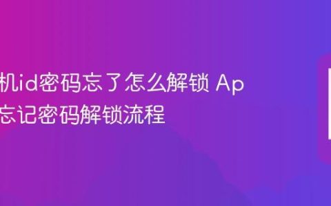 苹果手机id密码忘了怎么解锁 Apple ID忘记密码解锁流程