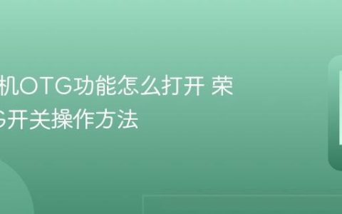 荣耀手机OTG功能怎么打开 荣耀OTG开关操作方法