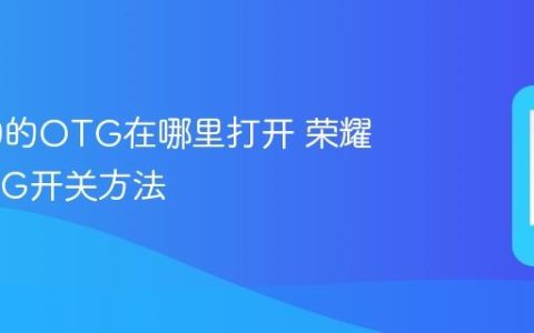 荣耀60的OTG在哪里打开 荣耀60 OTG开关方法