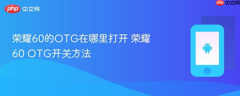 荣耀60的otg在哪里打开 荣耀60 otg开关方法