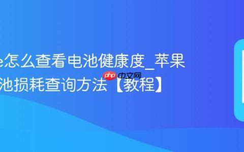 iphone怎么查看电池健康度?苹果手机电池损耗查询方法【教程】