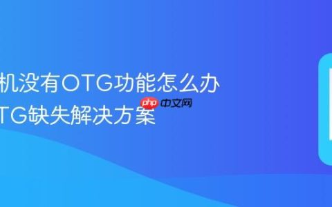 荣耀手机没有OTG功能怎么办 荣耀OTG缺失解决方案