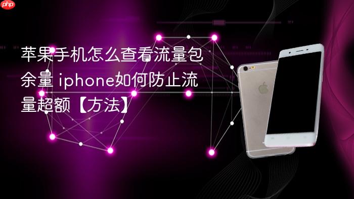 苹果手机怎么查看流量包余量 iphone如何防止流量超额【方法】