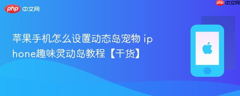 苹果手机怎么设置动态岛宠物 iphone趣味灵动岛教程【干货】