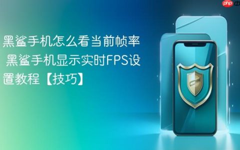 黑鲨手机怎么看当前帧率 黑鲨手机显示实时FPS设置教程【技巧】