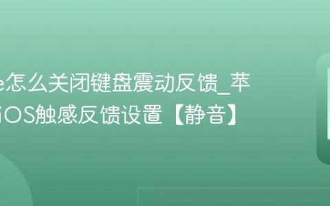 iphone怎么关闭键盘震动反馈?苹果手机iOS触感反馈设置【静音】