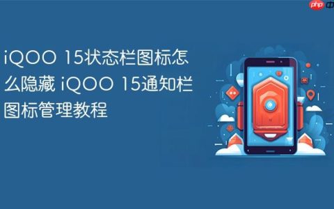 iQOO 15状态栏图标怎么隐藏 iQOO 15通知栏图标管理教程