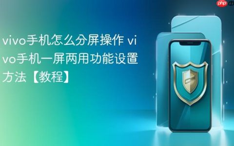 vivo手机怎么分屏操作 vivo手机一屏两用功能设置方法【教程】