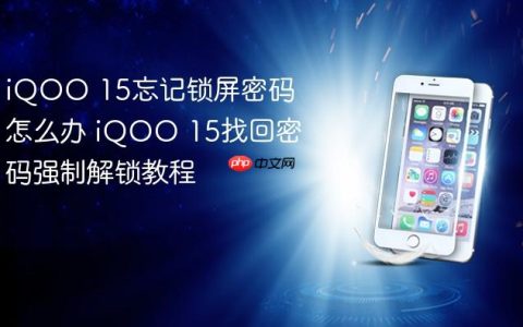 iQOO 15忘记锁屏密码怎么办 iQOO 15找回密码强制解锁教程