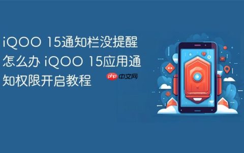 iQOO 15通知栏没提醒怎么办 iQOO 15应用通知权限开启教程
