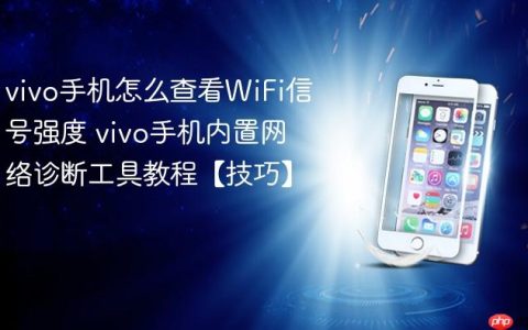 vivo手机怎么查看WiFi信号强度 vivo手机内置网络诊断工具教程【技巧】