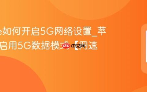 iphone如何开启5G网络设置?苹果手机启用5G数据模式【网速】