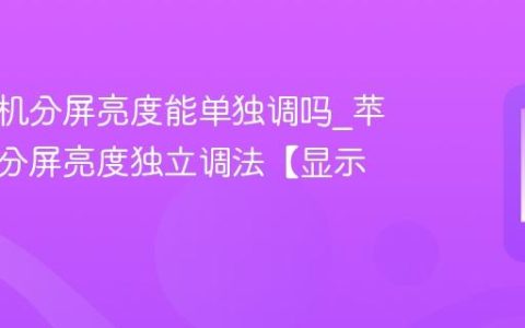 苹果手机分屏亮度能单独调吗?苹果手机分屏亮度独立调法【显示】