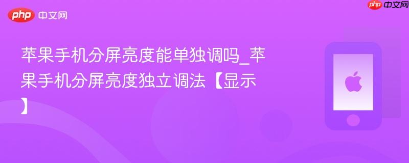 苹果手机分屏亮度能单独调吗_苹果手机分屏亮度独立调法【显示】
