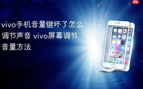 vivo手机音量键坏了怎么调节声音 vivo屏幕调节音量方法
