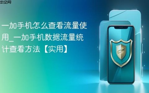 一加手机怎么查看流量使用?一加手机数据流量统计查看方法【实用】