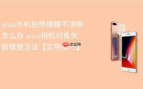 vivo手机拍照模糊不清晰怎么办 vivo相机对焦失败修复方法【实用技巧】