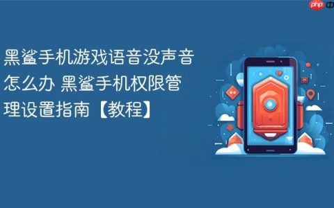 黑鲨手机游戏语音没声音怎么办 黑鲨手机权限管理设置指南【教程】